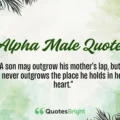 Alpha Male Quotes