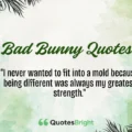 Bad Bunny Quotes