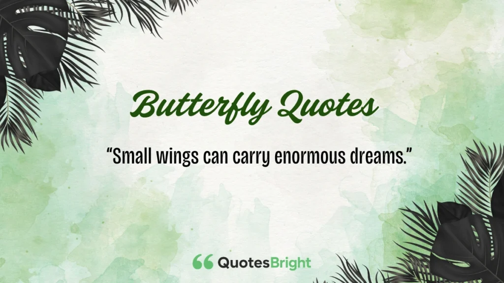 Butterfly Quotes