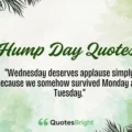 Hump Day Quotes
