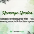 Revenge Quotes
