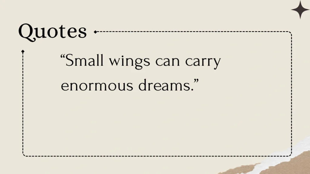 Butterfly Quotes