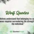 Wolf Quotes