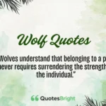 Wolf Quotes