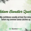 Adam Sandler Quotes