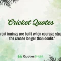 Cricket Quotes