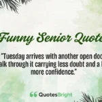 Funny Senior Quotes