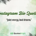 Instagram Bio Quotes