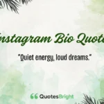 Instagram Bio Quotes