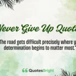 Never Give Up Quotes