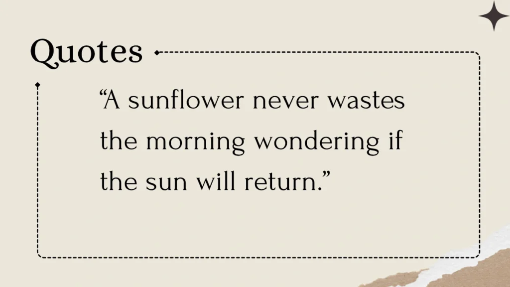 Sunflower Quotes