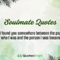 Teachers Day Quotes